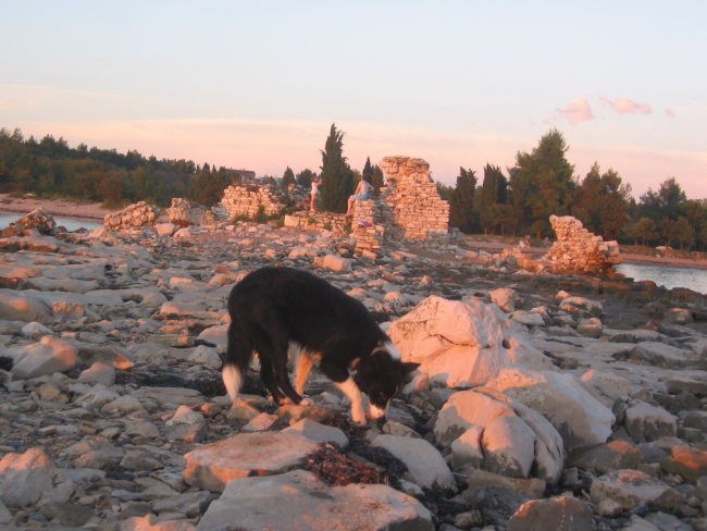 Bašanija 2007 - foto povečava