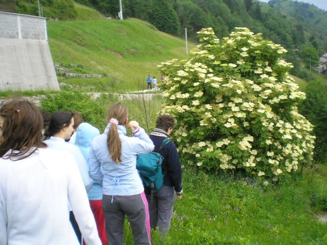 Tabor - foto povečava