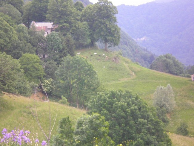 Tabor - foto povečava