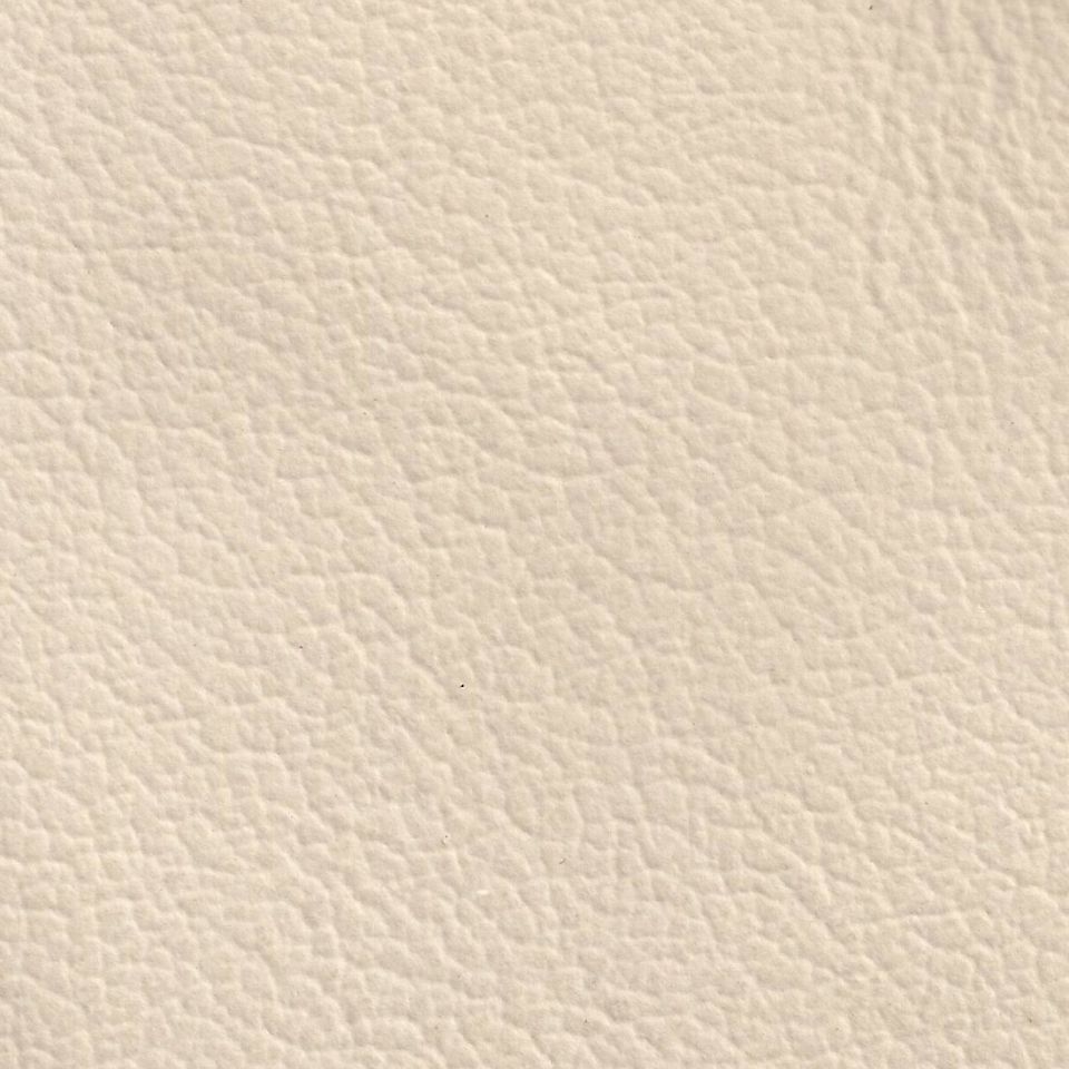 Jaguar Ivory