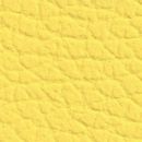 1805B Yellow
