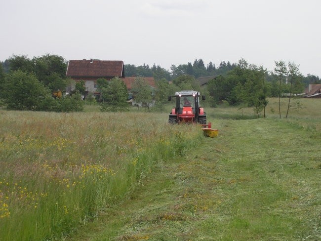 Demo same - foto povečava