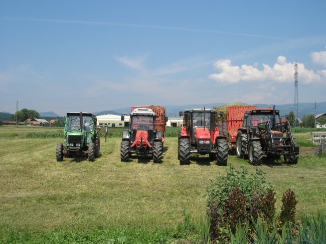 Košnja - foto povečava