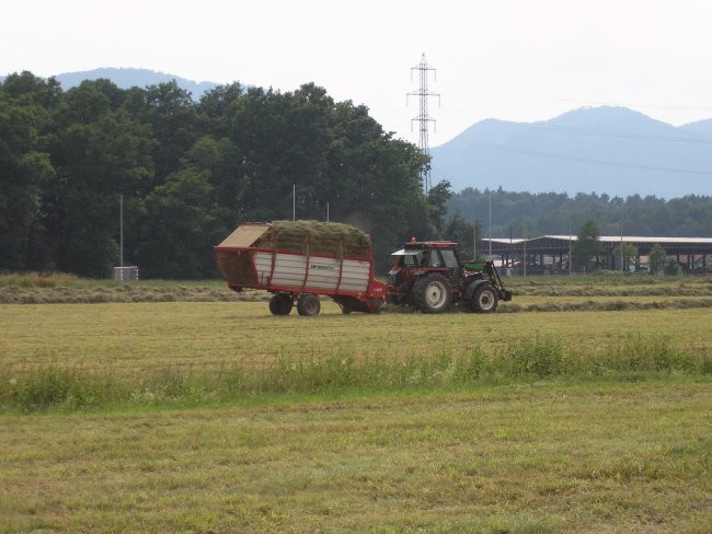 Košnja - foto povečava