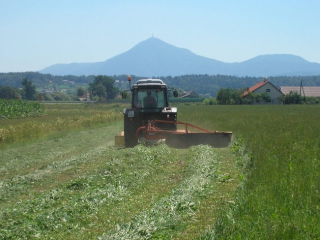 Košnja - foto