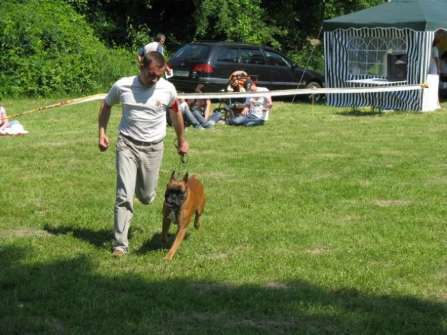 ATIBOX 2008-SLOVAŠKA - foto