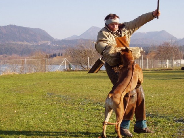 OBRAMBA-trening - foto