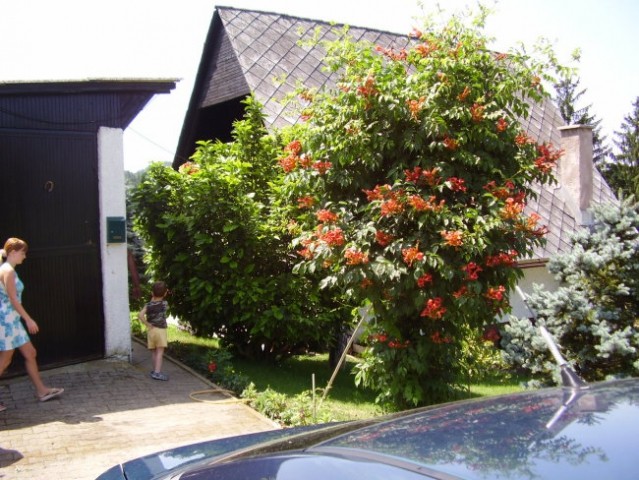 SLIKE ZA 1. STRANICU - foto