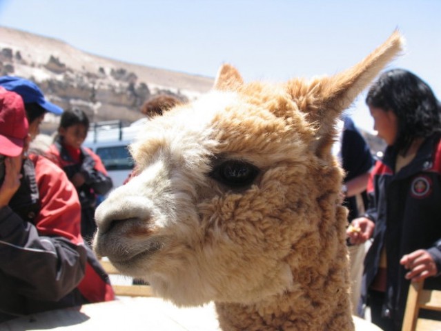 Peru - foto