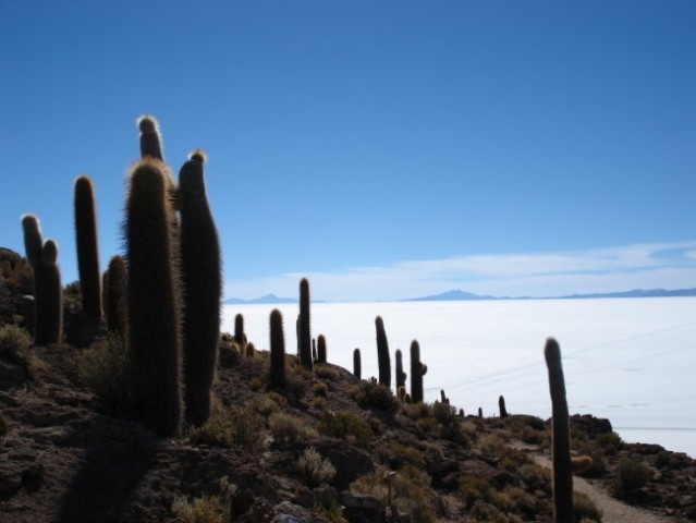 Bolivija - foto