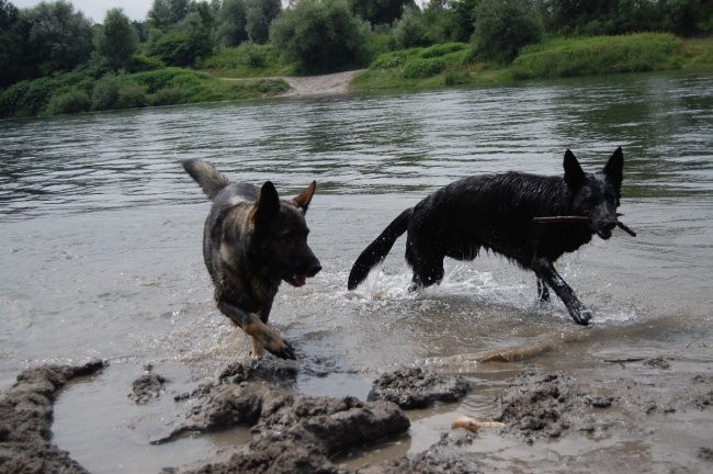 Sava - foto povečava