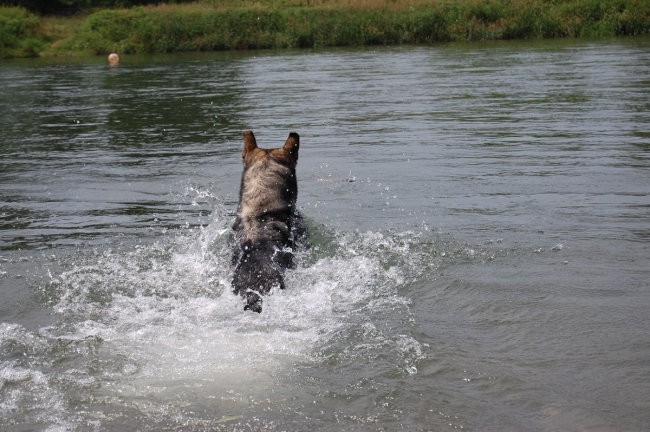 Sava - foto povečava