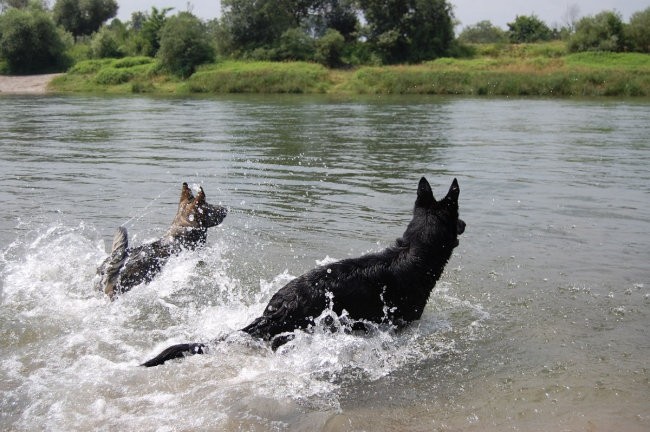 Sava - foto povečava