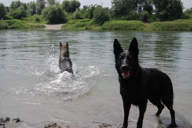 Sava - foto povečava