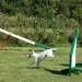 agility4fun barje 08