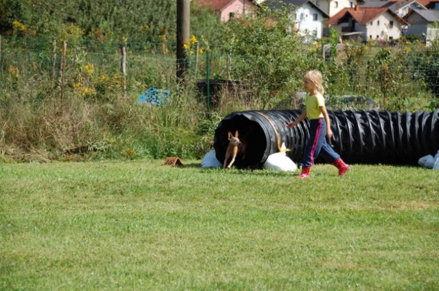 Agility4fun barje 08 - foto