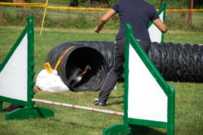 Agility4fun barje 08 - foto povečava