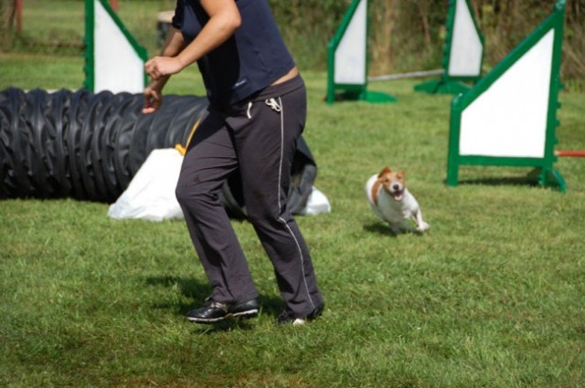 Agility4fun barje 08 - foto