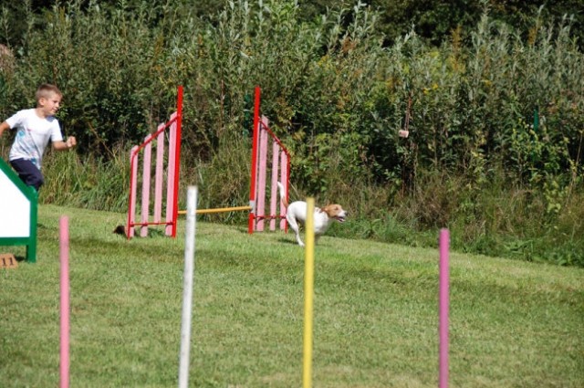 Agility4fun barje 08 - foto