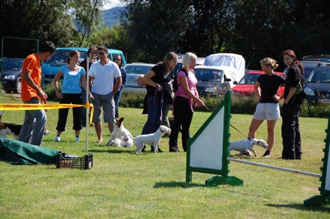 Agility4fun barje 08 - foto povečava