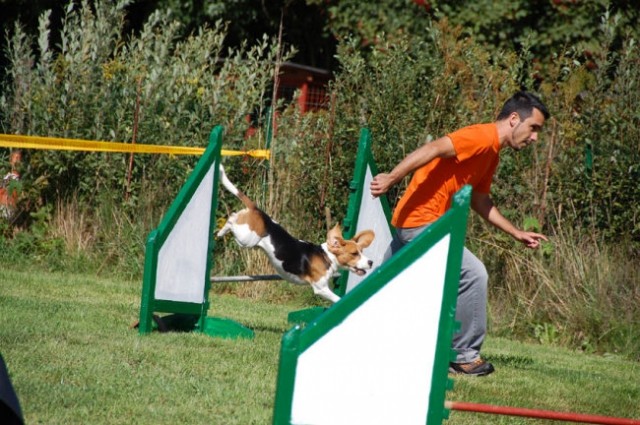 Agility4fun barje 08 - foto