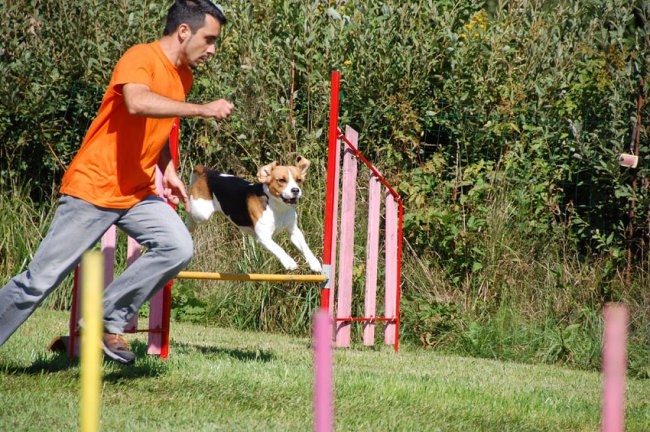 Agility4fun barje 08 - foto povečava