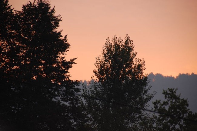 Fotke kar tako - foto povečava