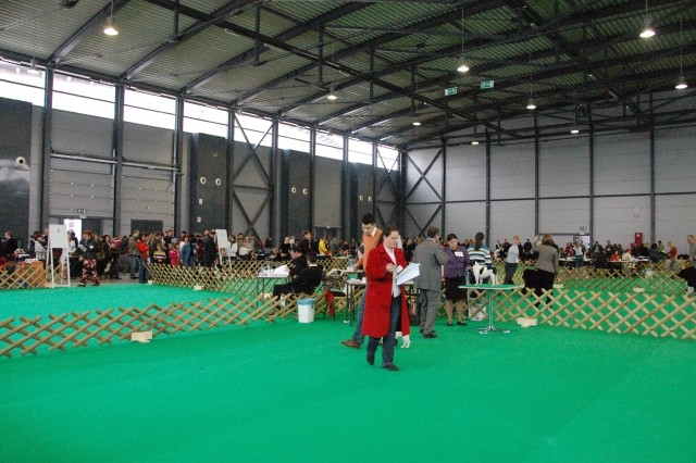 Cacib Ljubljana 09 - foto
