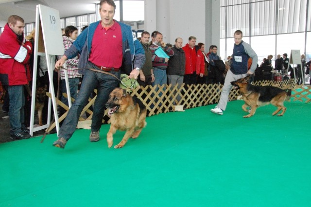 Cacib Ljubljana 09 - foto