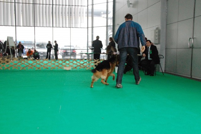 Cacib Ljubljana 09 - foto