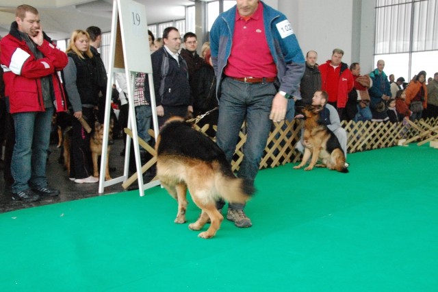 Cacib Ljubljana 09 - foto
