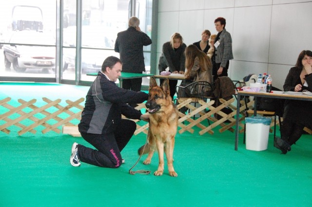 Cacib Ljubljana 09 - foto