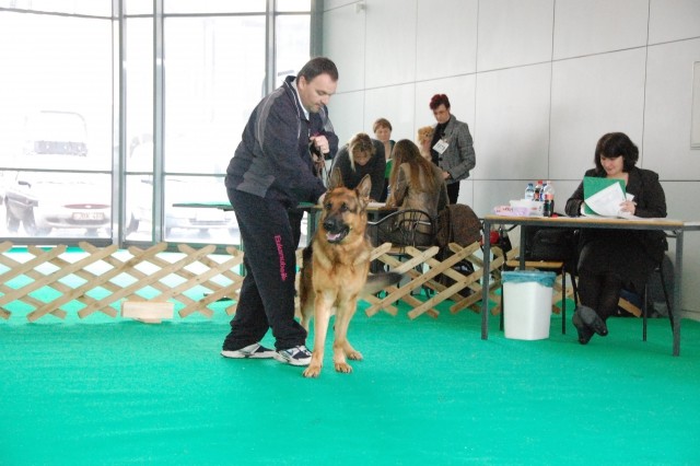 Cacib Ljubljana 09 - foto