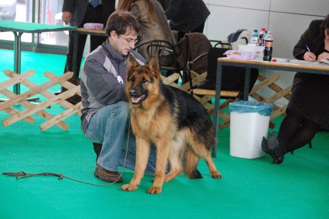 Cacib Ljubljana 09 - foto
