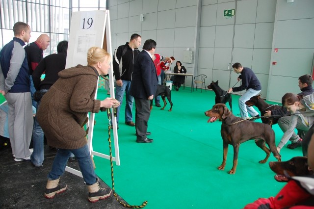 Cacib Ljubljana 09 - foto