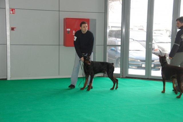 Cacib Ljubljana 09 - foto