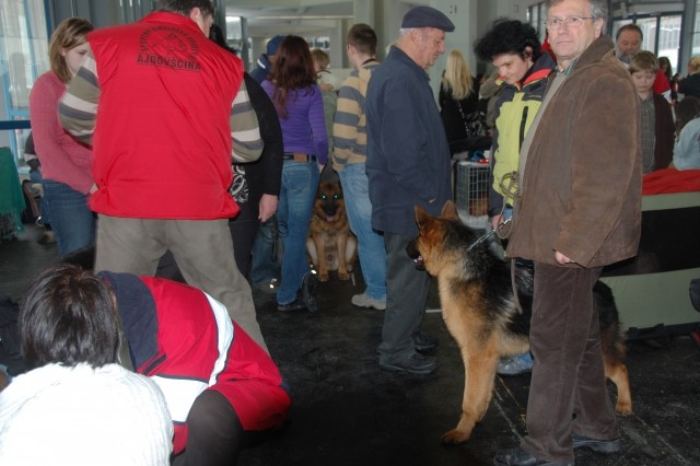 Cacib Ljubljana 09 - foto