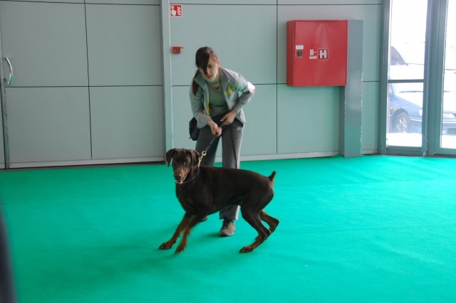 Cacib Ljubljana 09 - foto