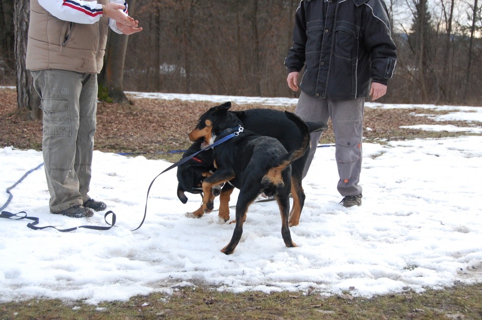 Igralne urice februar 09 - foto povečava