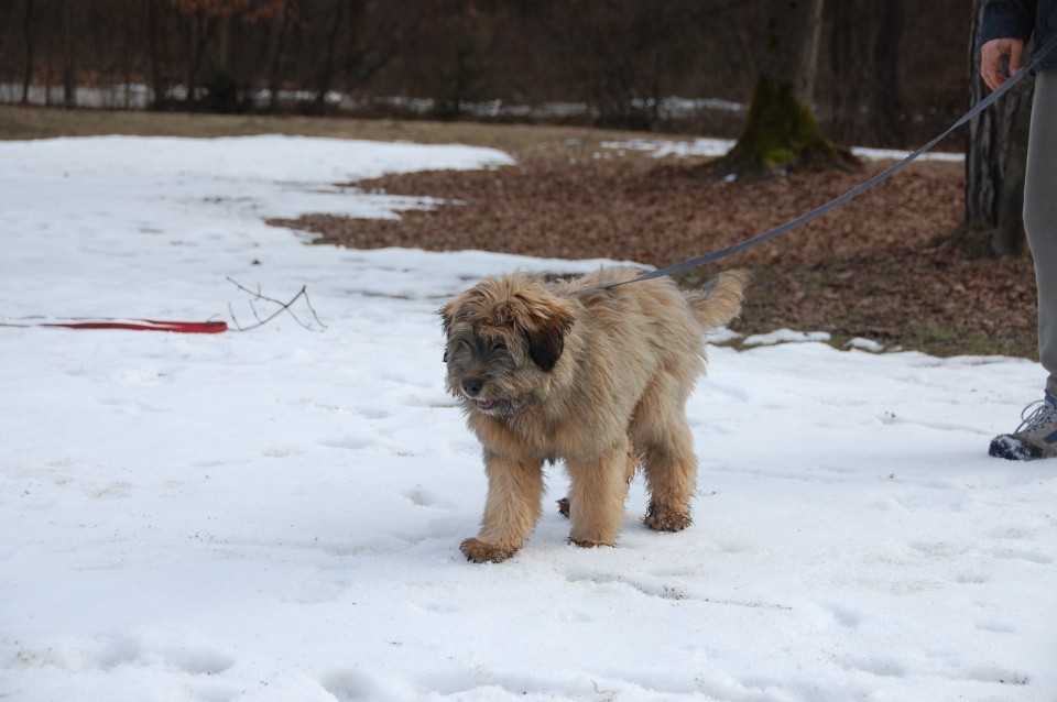 Igralne urice februar 09 - foto povečava