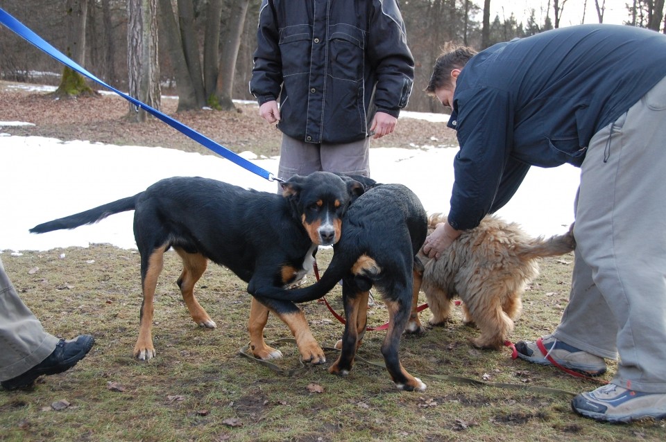 Igralne urice februar 09 - foto povečava