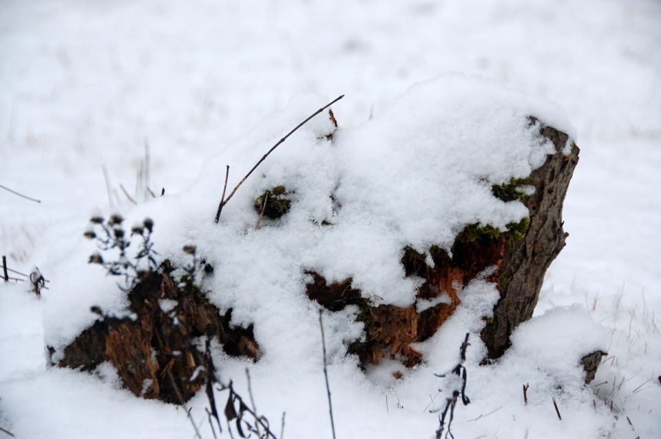 Sneg 14.12.09 - foto povečava