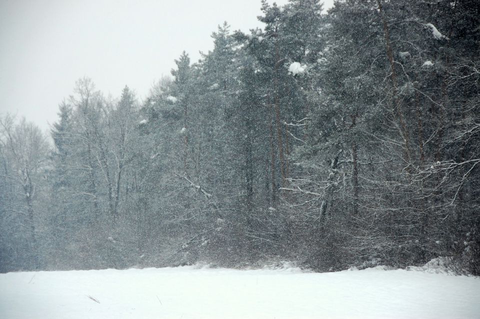 Sneg 17.1 - foto povečava