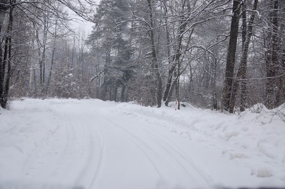 Sneg 17.1 - foto povečava