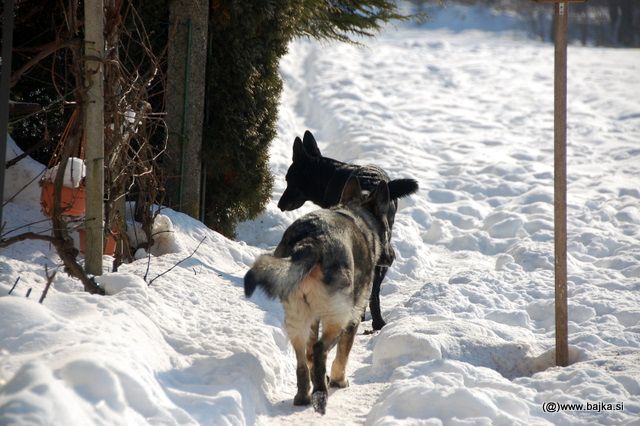 Sprehod v šoli - foto povečava