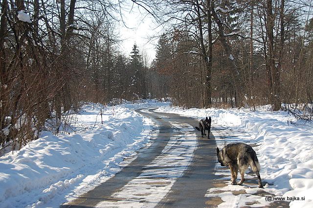 Sprehod v šoli - foto povečava