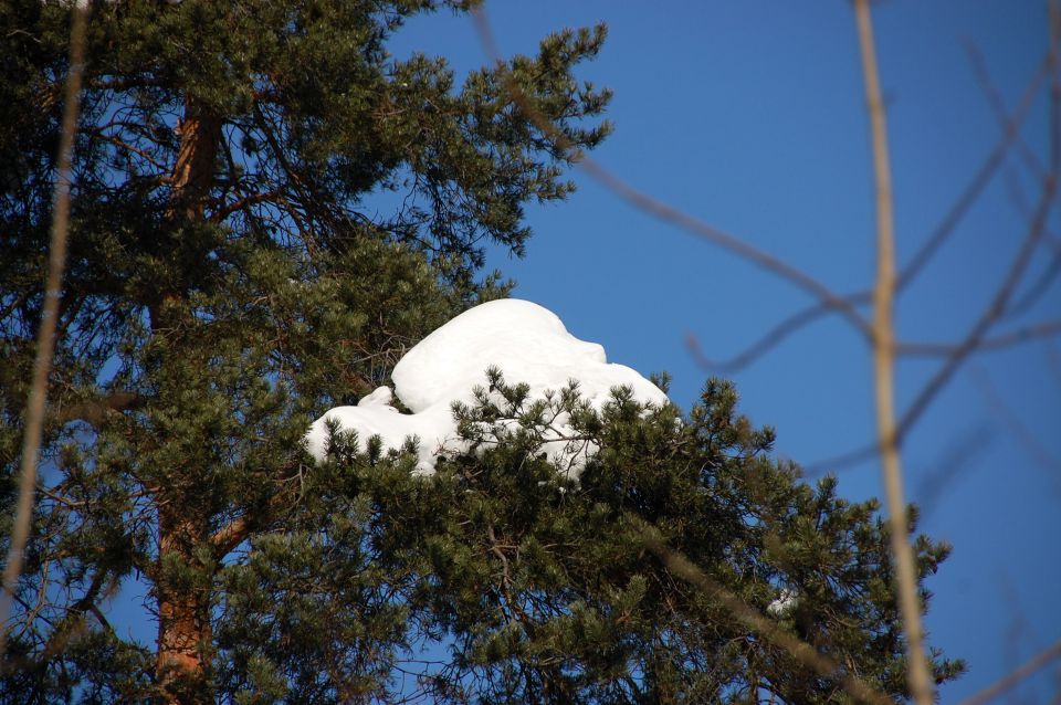 Sprehod v šoli - foto povečava