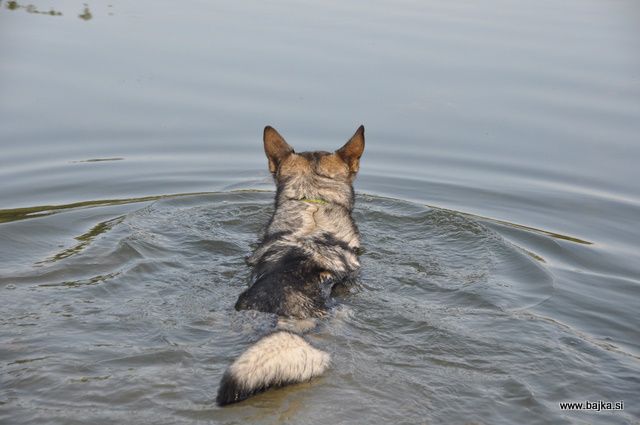 Gradiško jezero - foto povečava