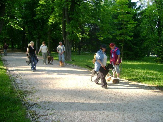 šola v tivoliju in živalcu - foto povečava