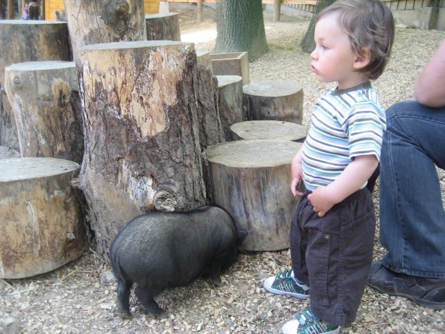 Marcel in Zarja - foto povečava